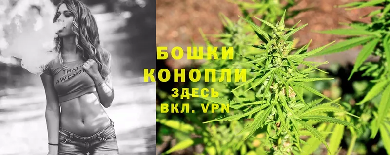 Марихуана White Widow  нарко площадка наркотические препараты  Каменск-Шахтинский 